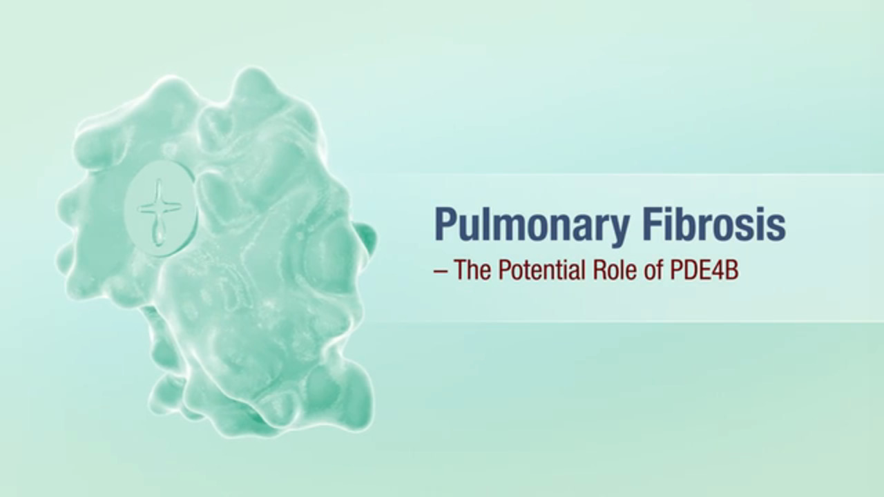 Pulmonary Fibrosis and PDE4B – Video