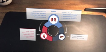 Cardio-Renal-Metabolic Disease States in Augmented Reality - Video