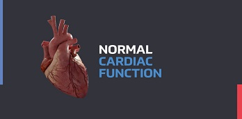 Normal Cardiac Function - Video
